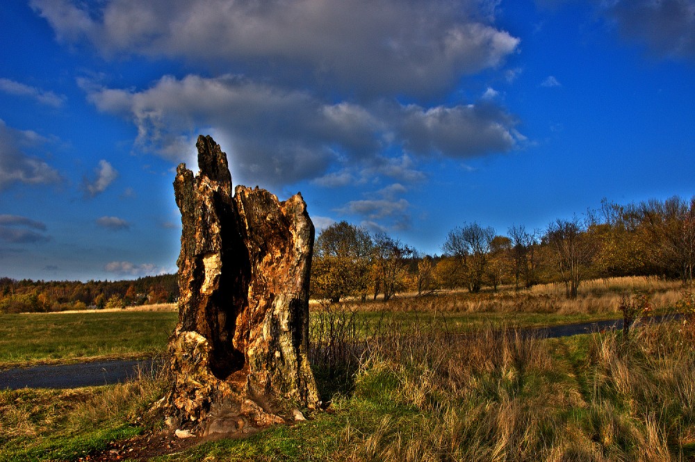 Samotář hdr.jpg